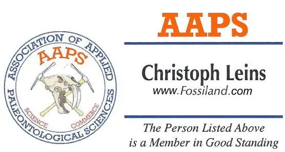 Fossilien_AAPS Fossilien_AAPS