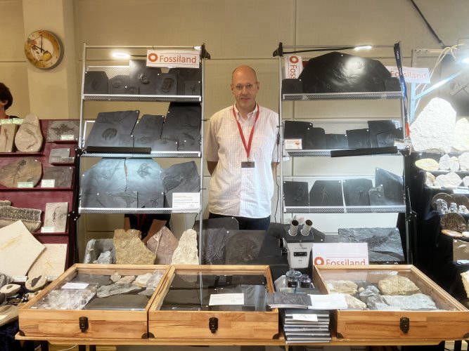 Fossiland_Messe_Ostfildern