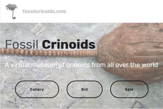 www.fossilcrinoids.com