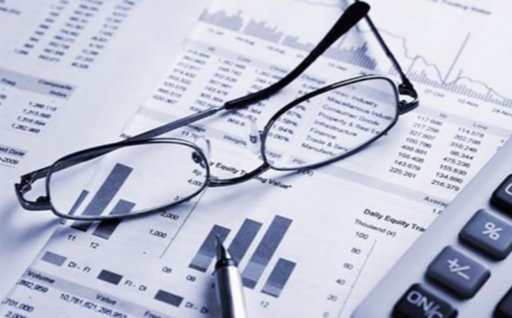 Fossilien_Begutachtung