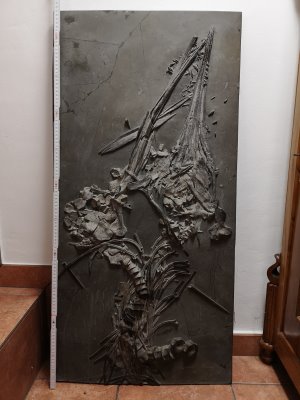 Fossilien_Kundenstimmen_08_Holzmaden_Ichthyosaurus