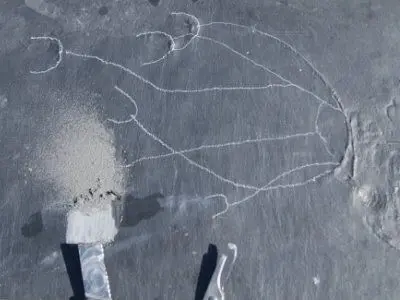 Fossilien_Praeparation_01 Fossilien_Praeparation_01