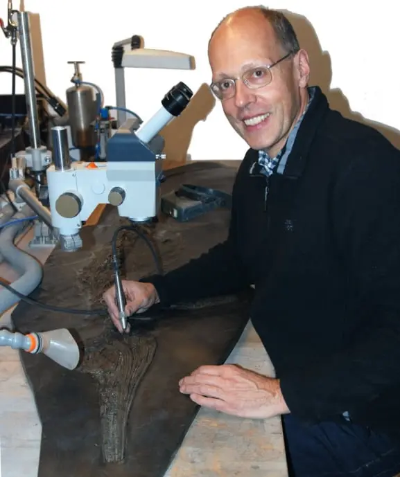 Fossilienexperte_Christoph Leins Fossilienexperte_Christoph Leins