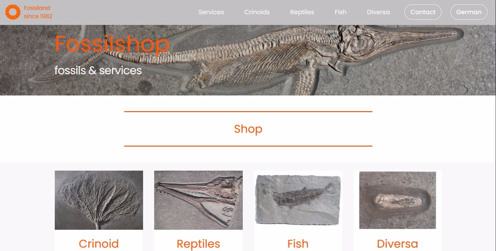 Fossilien_Vermittlung_Internetshop Fossilien_Vermittlung_Internetshop