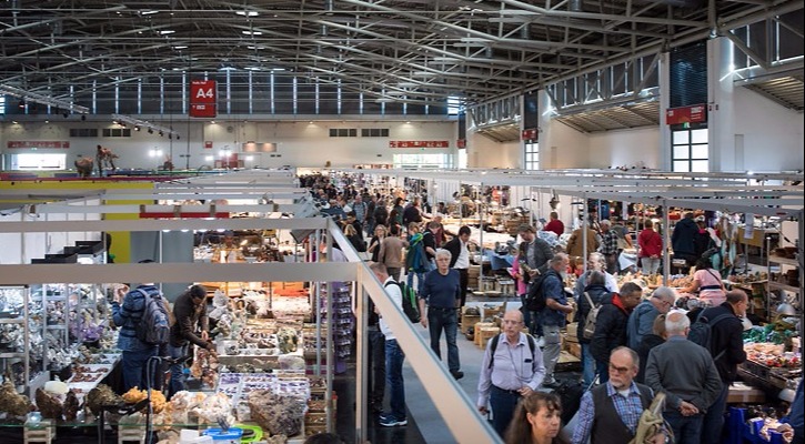 Fossilien_Vermittlung_Messe Fossilien_Vermittlung_Messe